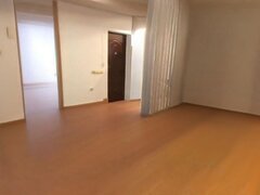 Drumul Taberei, Brancusi